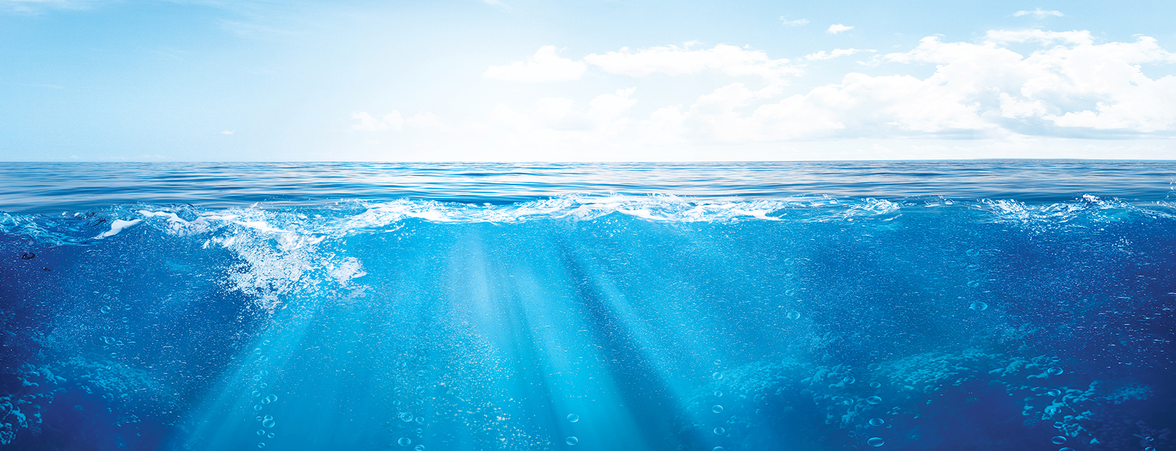 Environmental risk management