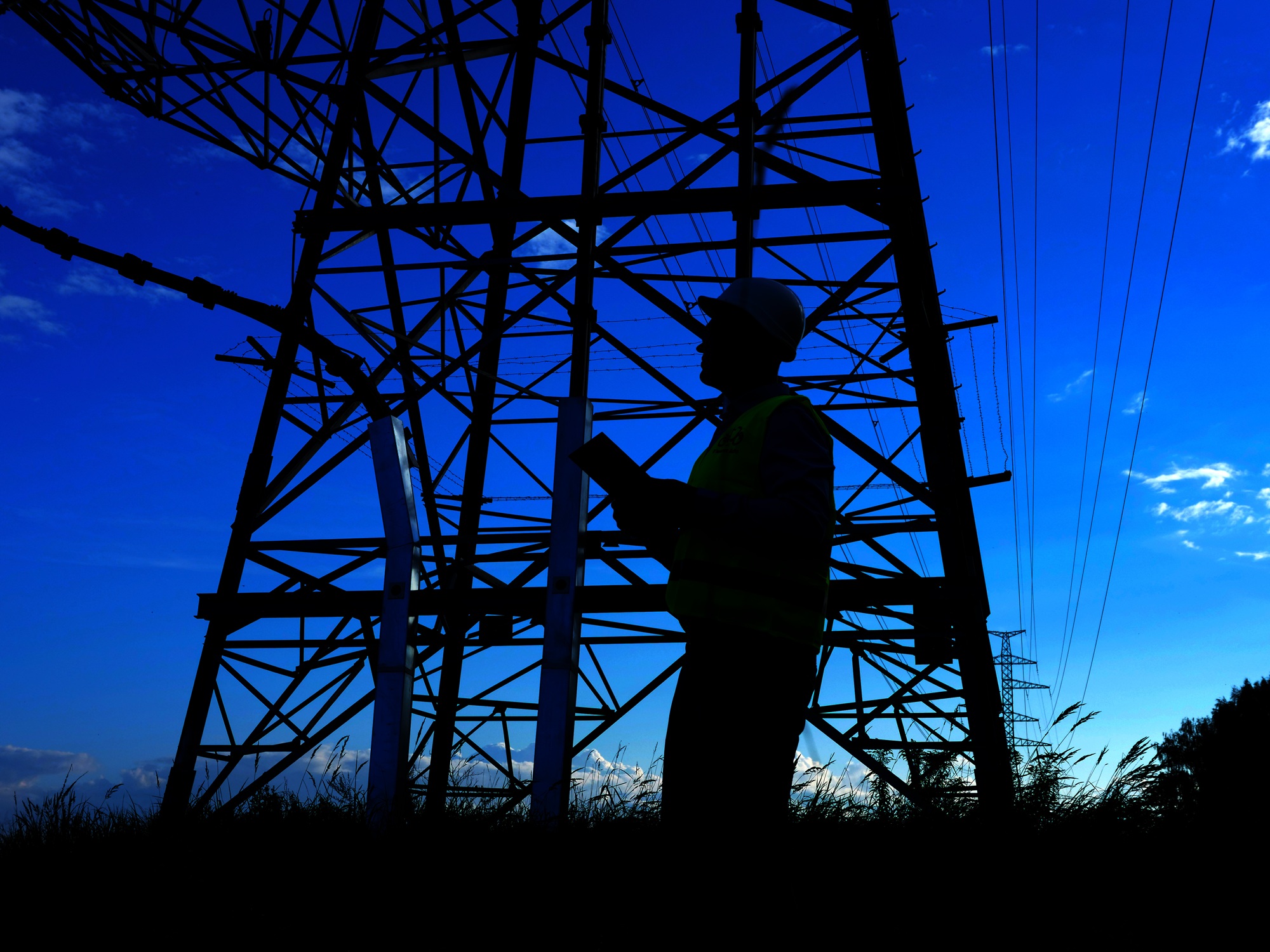 Grid compliance assessment