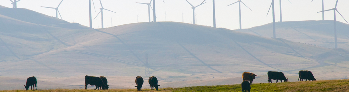 Siting and environmental studies for onshore wind and solar power