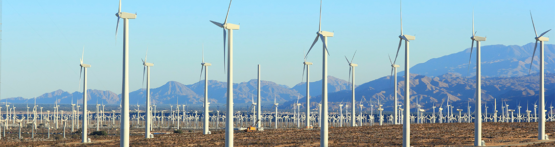 Wind farm construction support