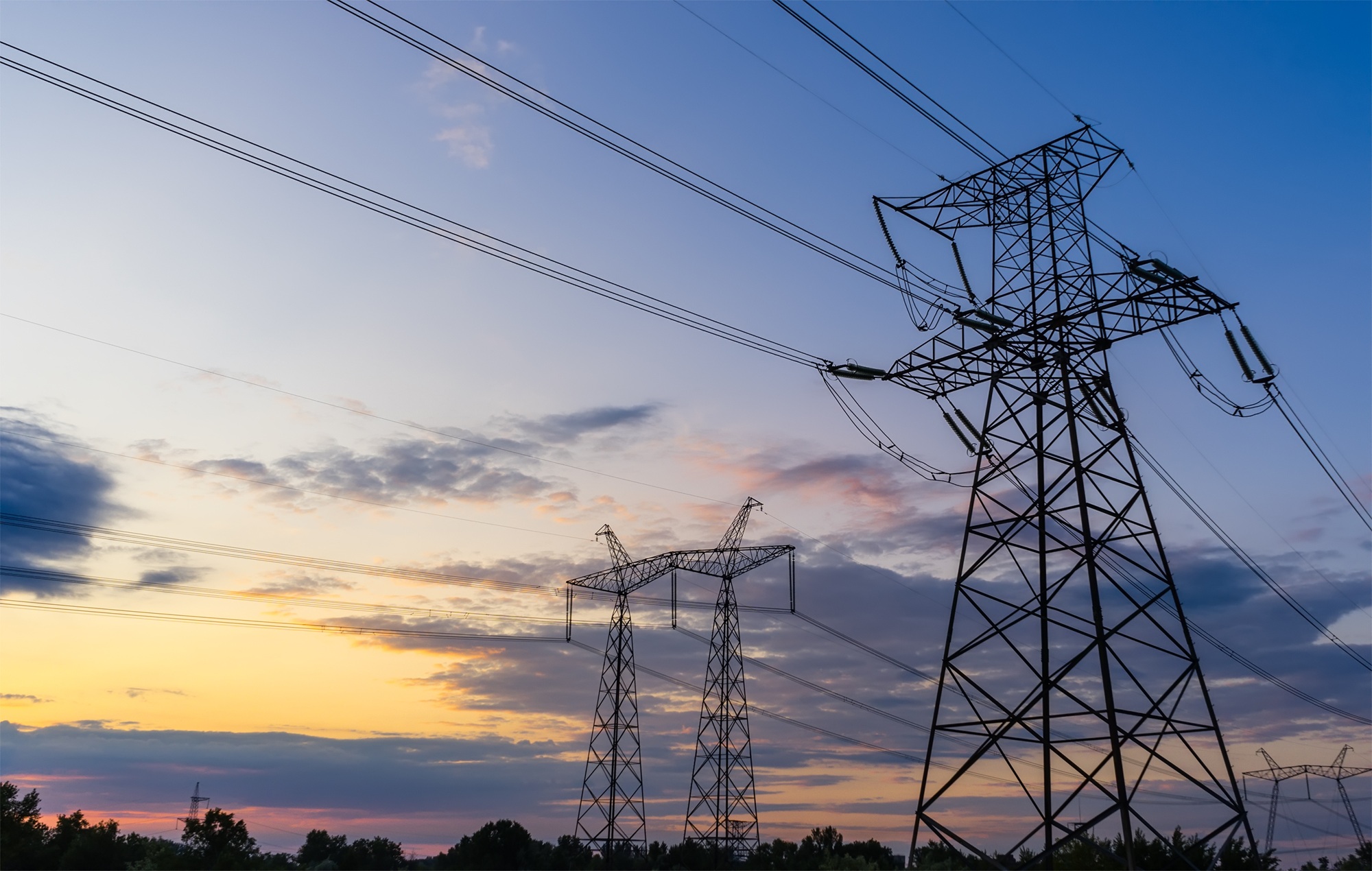 Strategic asset life cycle management to optimize grid performance