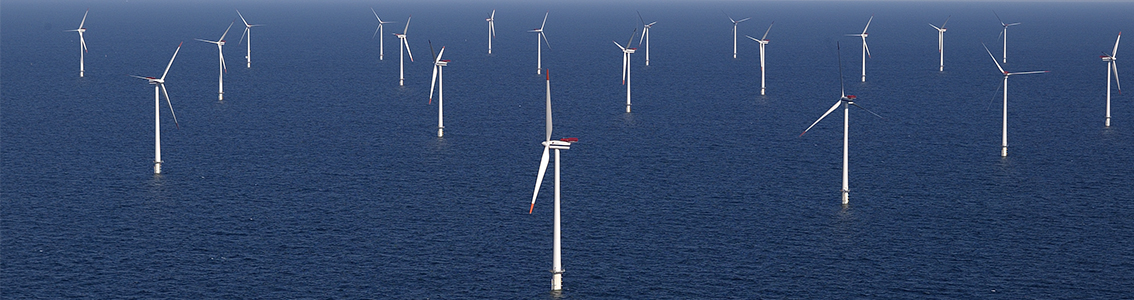 Layout optimization for offshore wind farms