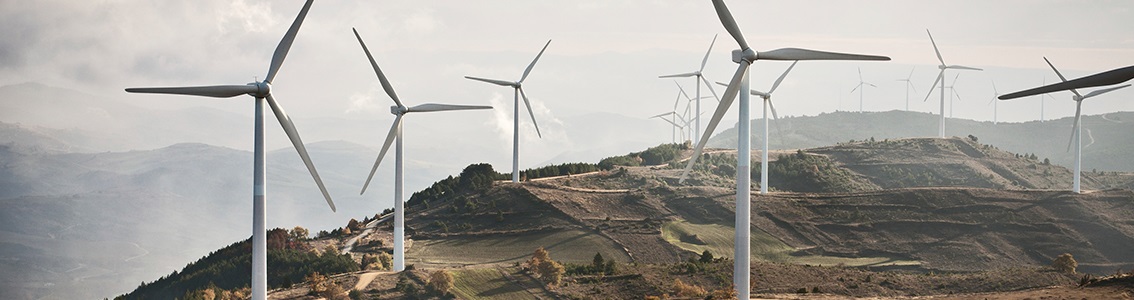 Site-specific mechanical load assessment for wind turbines