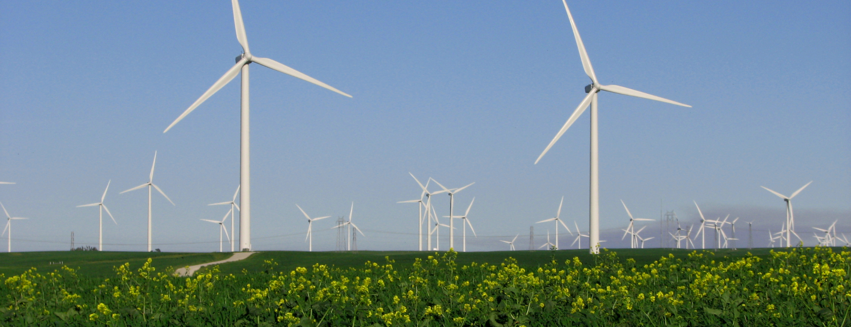 Wind measurement campaigns with lidar