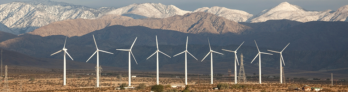 Wind turbine warranty and verification testing