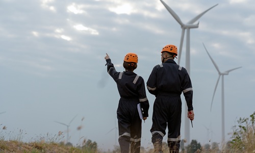 Due diligence inspection of an onshore wind farm