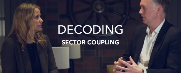 Decoding Sector Coupling
