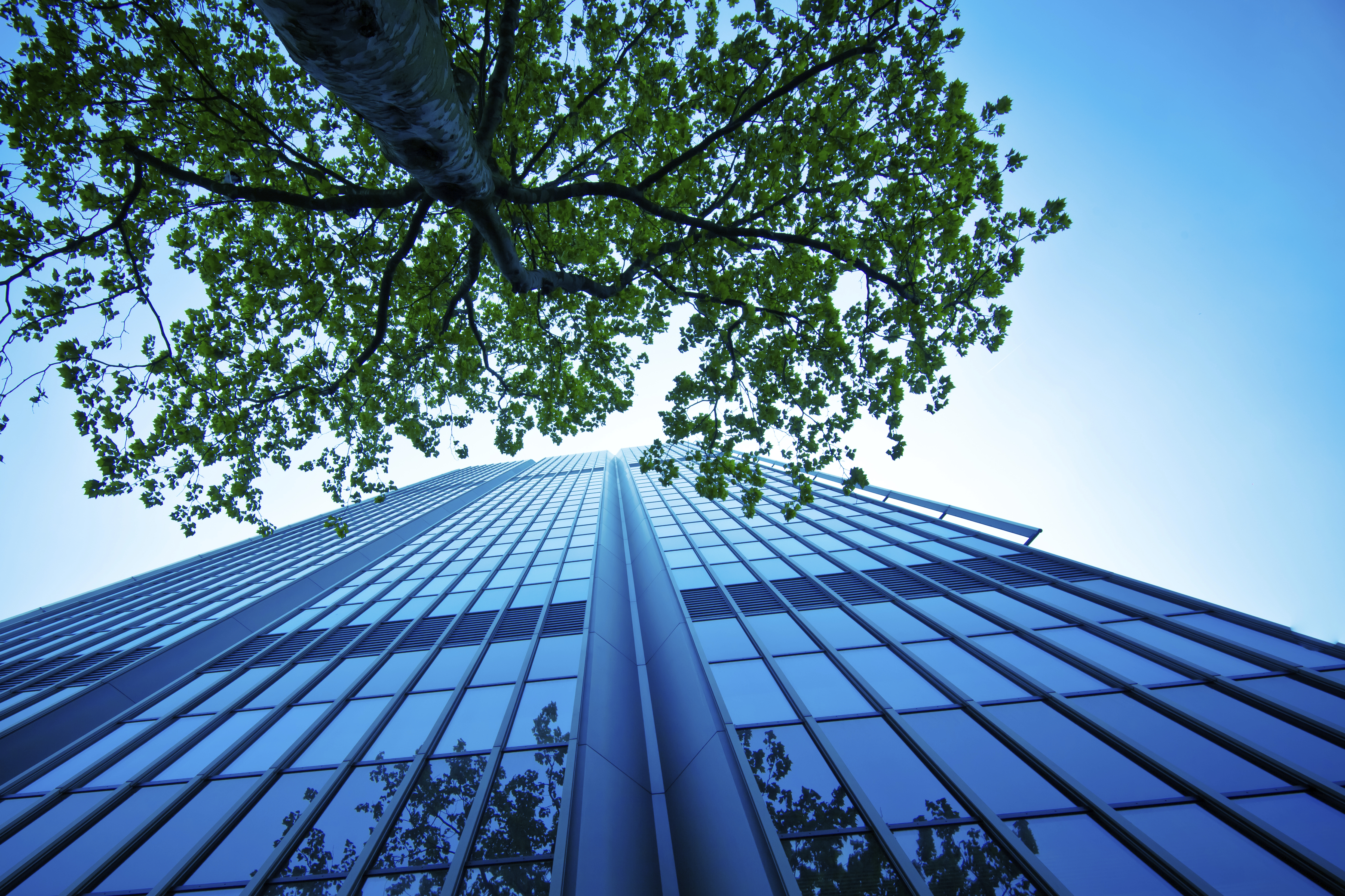 ISO 14001:2015 环境管理体系内审员培训