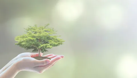 Auditor Interno ISO 14001:2015