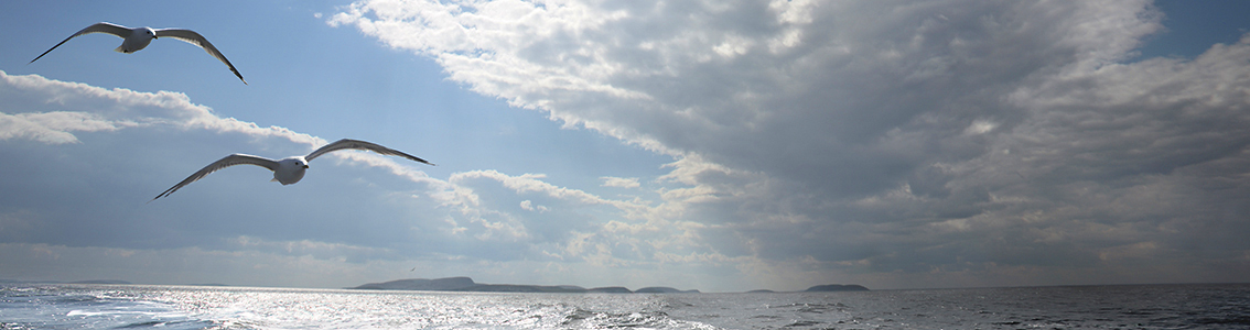 Environmental Product Declarations 