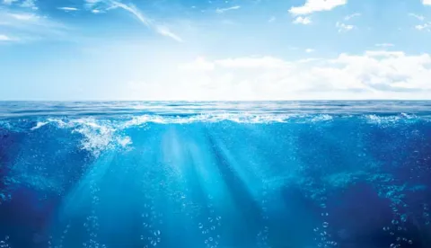 ESG Sustainability