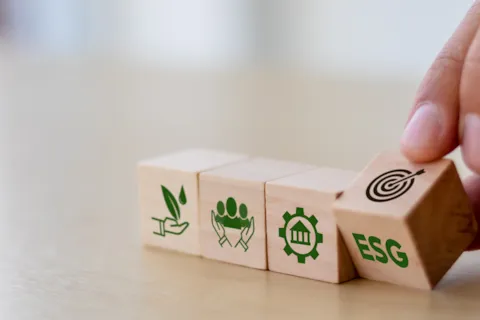Lead ESG from the boardroom