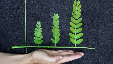 GRI 標準解析(2天)