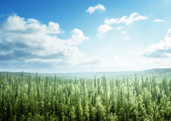 Espresso-undersökning: Översikt över resultaten av miljöaudits - infografik