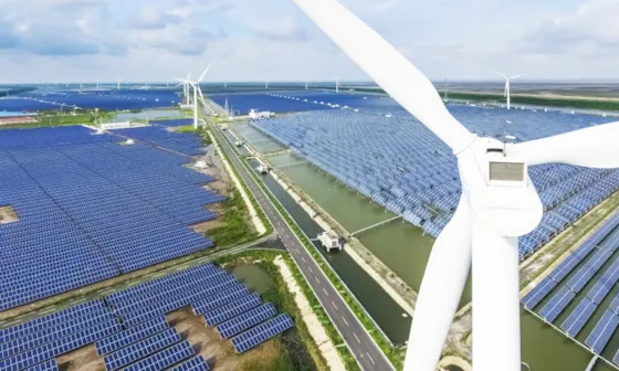 Maritime Forecast to 2050