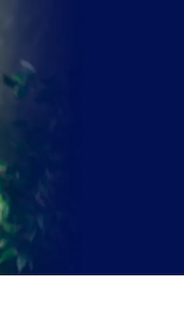 EVOLVE CX