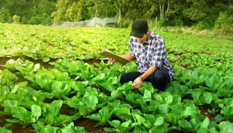 Farm to Fork Strategy