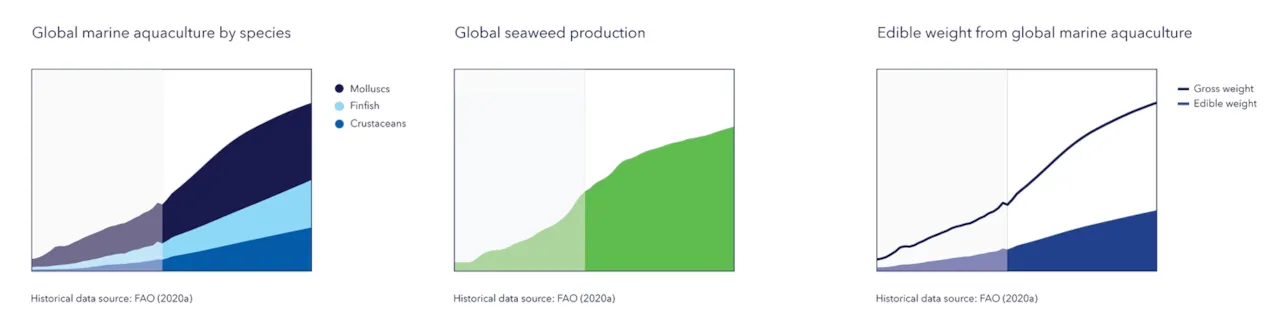 Graphs: global marine aquaculture by species, global seaweed production, edible weight from global marine aquaculture