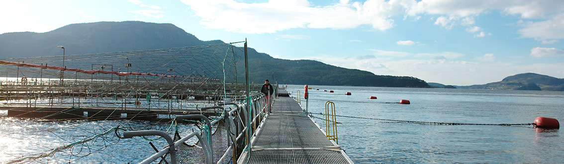 Fish farm and it's operator