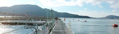 Fish farm and it's operator