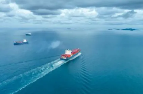 Download the full article