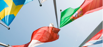 Flag interpretations in Compliance Planner