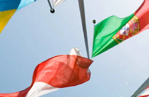 Flag interpretations in Compliance Planner