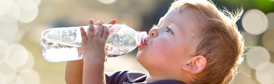 Food Safety Culture Program banner