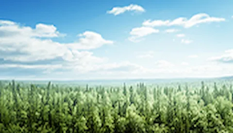 FSC® Chain of Custody-certifiering