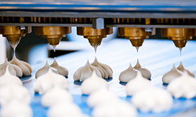 FSSC 22000: Food Safety Certification