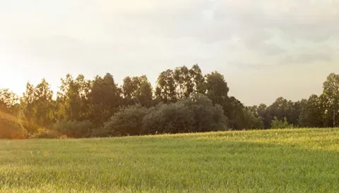 Estudios de Impacto Ambiental