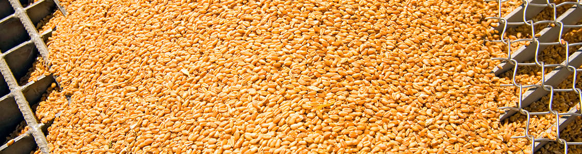 GLOBAL G.A.P. Compound Feed Manufacturing