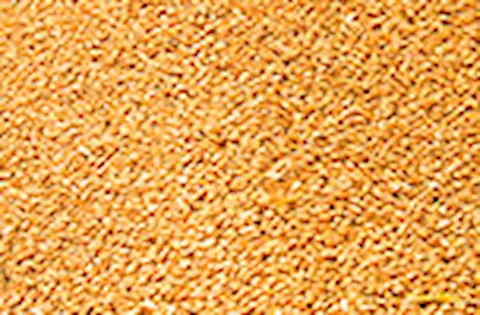 GLOBALG.A.P Compound Feed Manufacturing