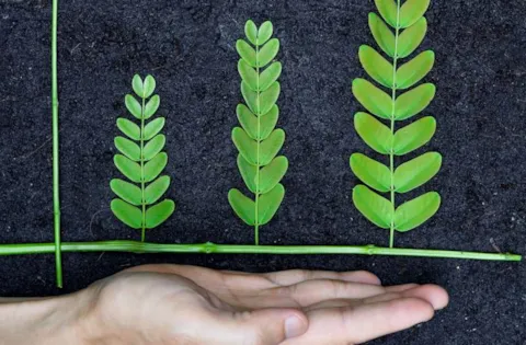 Greenwashing: 6 reasons why businesses do it