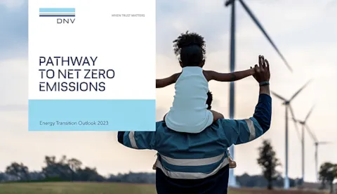Pathway to Net Zero Emissions