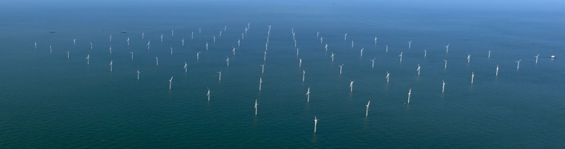 Growing the Offshore Wind Sector in India