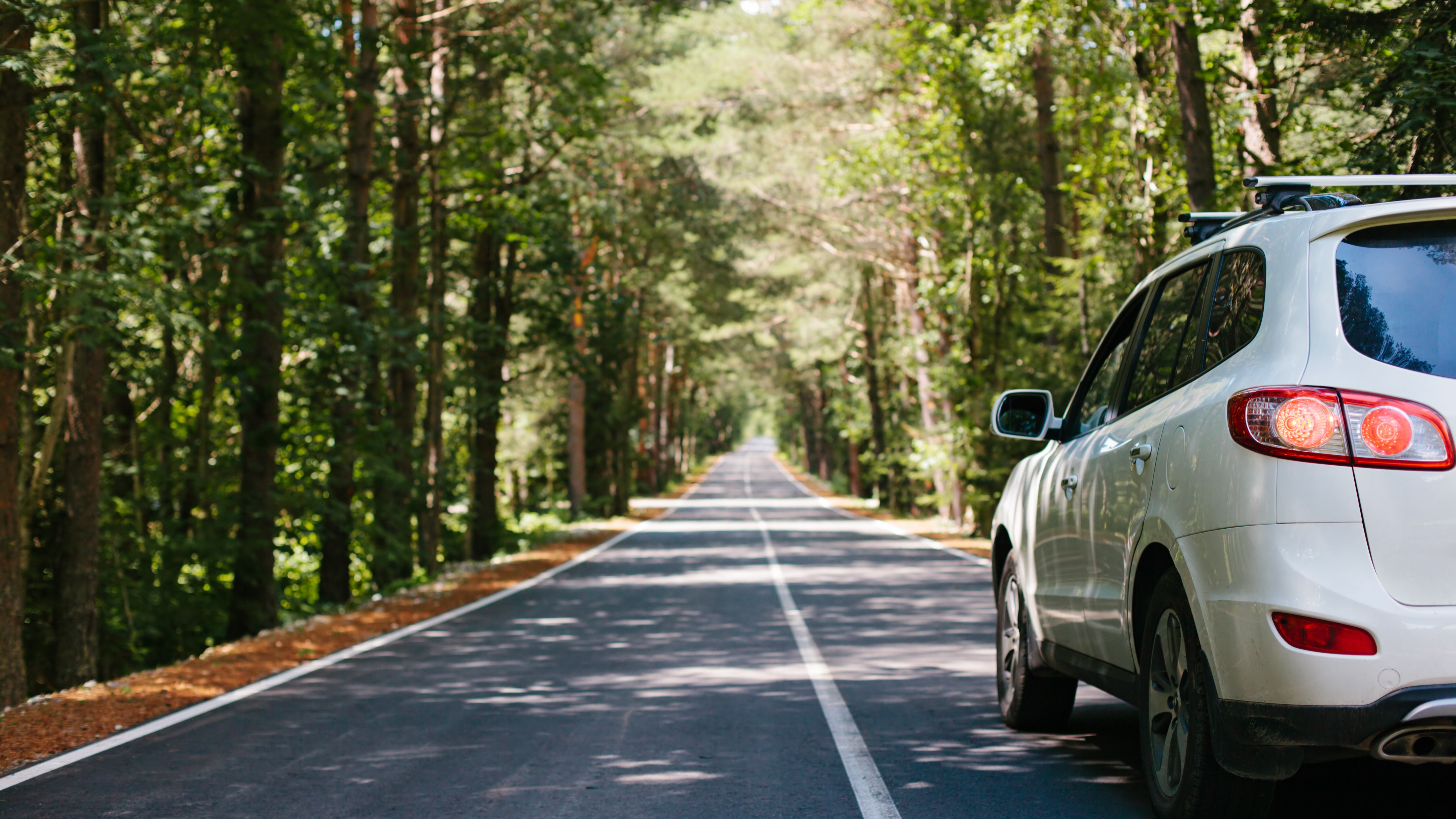 Automotive SPICE® (ASPICE) process assessment 