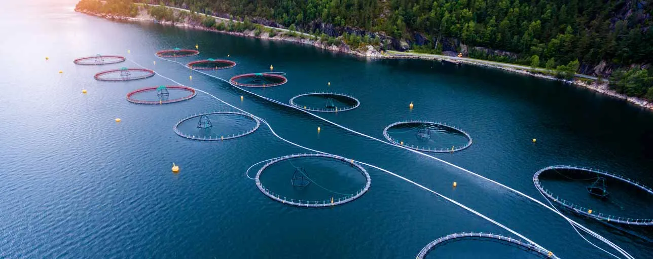Salmon farm in Norwegian fjord