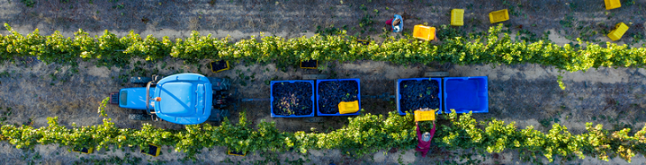 Human rights in the energy transition