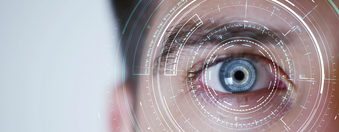 Human_eye - 1288x500