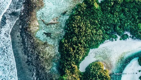 生物多样性与共存