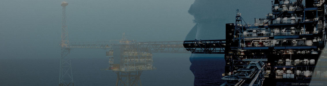 Fixed offshore structure