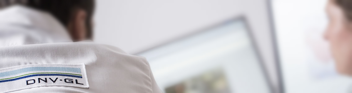 Verification of subsea facilities