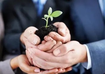 Auditor Interno ISO 14001:2015