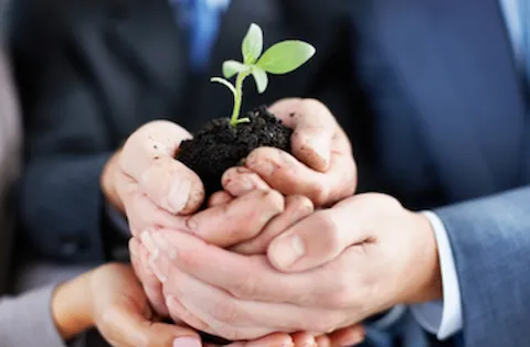 Auditor Interno ISO 14001:2015