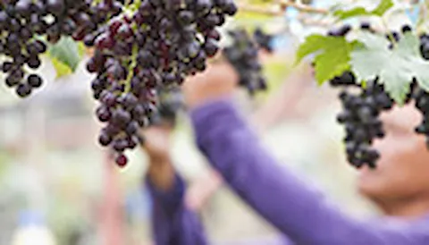 ISO 26000 - Socialt ansvar