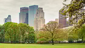 Auditor Interno de ISO 14001:2015 - (Online e-Learning)