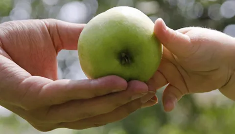 International Sustainability Rating System