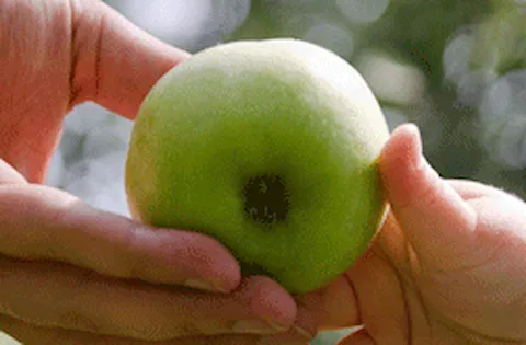 International Sustainability Rating System (ISRS)