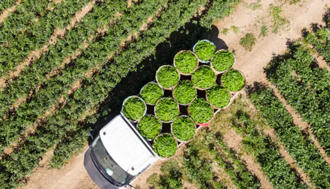 Sustainable Food Supply Chain Report